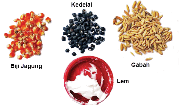 1.4 bahan yang digunakan dalam seni mozaik. Membuat Mozaik Atau Kolase Unik Dari Bahan Biji Bijian Pr Sekolahku