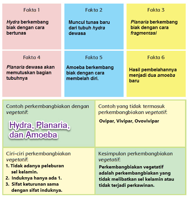 Biasanya, kultur jaringan dilakukan pada tanaman yang tidak bisa melakukan. Pembelajaran 3 Tema 1 Subtema 2 Hewan Sahabatku
