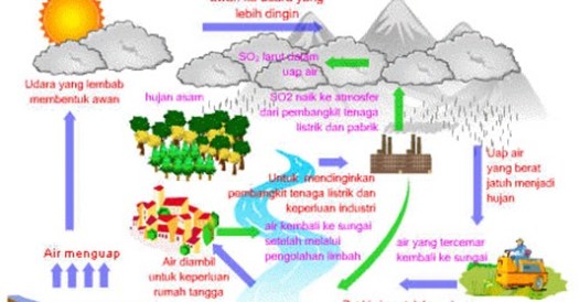 Udara dalam bentuk so atau gas sulfur dioksida. Coretan Syilga Siklus Biogeokimia