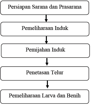 Tahapan sistem produksi pembenihan ikan lele adalah sebagai berikut, kecuali …. Proses Produksi Pembenihan Ikan Lele Dan Alat Pendukung