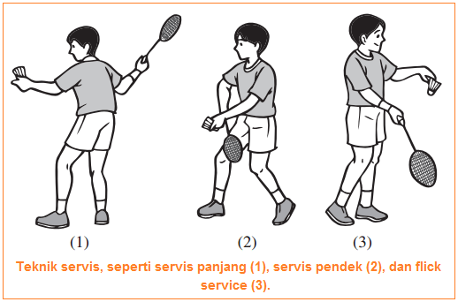 Namun hal pertama yang wajib dikuasai pemain adalah servis. Teknik Pukulan Bulutangkis Servis Lob Drive Dropshot Smash Dan Netting Disertai Gambar
