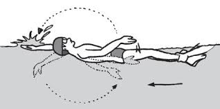 Gerakan kaki dan tangan mirip dengan gaya bebas,. Mengenal Sejarah Dan Teknik Dasar Renang Gaya Punggung Secara Lengkap