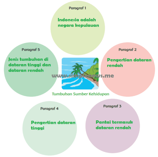 Manfaat perkembangbiakan vegetatif, sebagai berikut:. Lengkap Kunci Jawaban Tematik Halaman 31 32 33 34 35 36 37 38 Kelas 6 Tema 1 Subtema 1 Pembelajaran 3 Simple News Kunci Jawaban Lengkap Terbaru