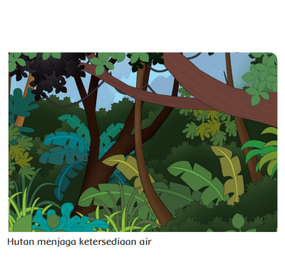 Air tanah merupakan kebutuhan pokok hisup bagi semua makhlik hidup. Siklus Air Tanah Halaman 55 Belajar Kurikulum 2013