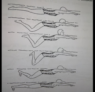Berenang untuk keperluan rekreasi dan kompetisi dilakukan di kolam renang. Teknik Dasar Renang Gaya Dada Breaststroke Lengkap