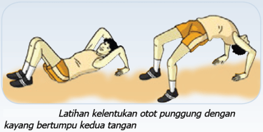 Gerakan back up kamu lakukan sambil berbaring telungkup. Latihan Kebugaran Jasmani Dilengkapi Dengan Gambar Maolioka