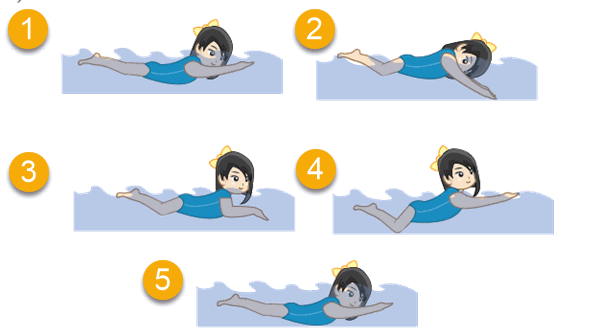 Dasar gerakan kaki gaya dada. Teknik Dan Gerakan Renang Gaya Dada Mikirbae Com