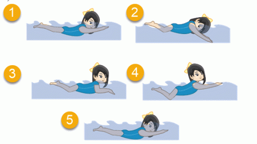 Dasar gerakan kaki gaya dada. Teknik Dan Gerakan Renang Gaya Dada Mikirbae Com