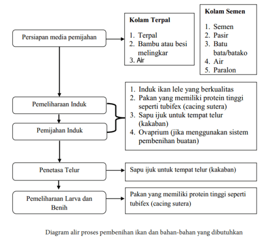 Balai riset perikanan budidaya air. Kebutuhan Alat Dan Bahan