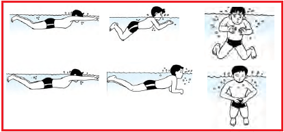 Lakukan cara berayun yang sama pada tangan kiri anda untuk melanjutkan gerakan renang gaya bebas. Renang Gaya Dada Katak Teknik Dasar Latihan Gerak Meluncur Kaki Tangan Mengambil Nafas Koordinasi Ketentuan Nilai