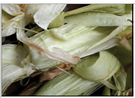 7 contoh limbah keras organik yang dapat kamu olah kembali. 11 Jenis Limbah Organik Basah Yang Dapat Dijadikan Karya Kerajinan Adalah Failfaire