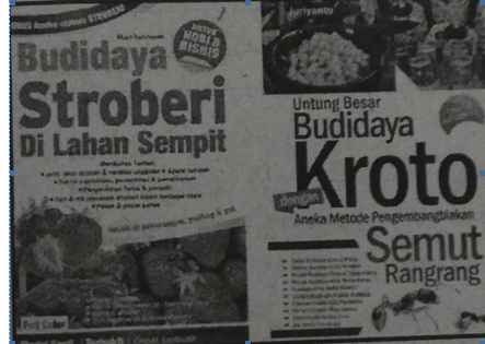 Setiap buku baik fiksi maupun nonfiksi yang sudah dibaca dapat dianalisis berdasarkan. Soal Bahasa Indonesia Kelas X Semester 2 Kurikulum 2013 Pilihan Ganda Wajib Part 10 Kumpulan Soal