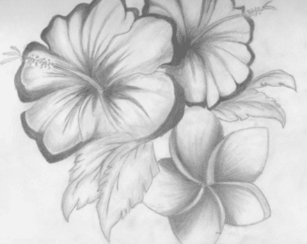 Setidaknya, ada lima prinsip yang harus diperhatikan dalam menggambar bentuk, yaitu model, proporsi, komposisi, perspektif, dan pencahayaan. Soal Dan Kunci Jawaban Pas Seni Budaya Smp Kelas 8 Kurikulum 2013 Dilengkapi Dengan Kisi Kisi Soal Point