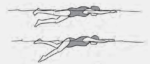 Teknik gerakan yang lebih dominan digunakan dalam renang gaya bebas . 8 Tahapan Teknik Dasar Renang Gaya Bebas Penjasorkes