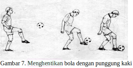 Salah satunya adalah cara menahan bola dengan telapak kaki. 7 Teknik Menghentikan Bola Dalam Sepak Bola Dan Gambarnya