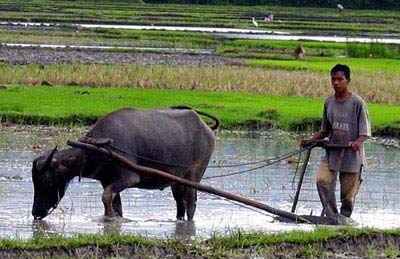 Manfaat kegiatan ekonomi dalam memperkuat kesatuan dan. Produksi Yang Memanfaatkan Sumber Daya Alam Adalah Rasanya