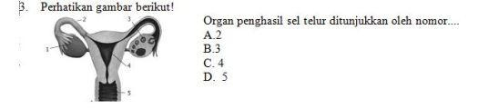 Kompetensi teknis guru smp ipa. Contoh Soal PAS Ganjil IPA Kelas 9 2020/2021 Lengkap