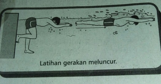 Sebagian besar peserta waktu itu berenang dengan gaya dada. Teknik Dasar Renang Gaya Dada Penjaskes