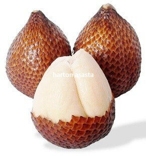 Misalnya daerah pesisir pantai / laut (sabut kelapa dan daun kelapa), . Proses Produksi Kerajinan Bahan Limbah Lunak