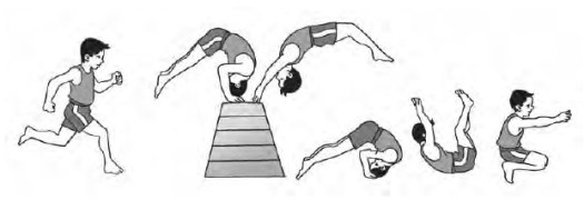 Ketika melakukan head stand, bagian kepala yang digunakan untuk bertumpu adalah dahi. Aktivitas Senam Artistik Ii Handstand Tiger Sprong Balance