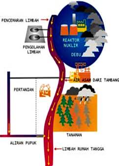 Berkurangnya persediaan oksigen terlarut untuk biota air karena fitoplankton memerlukan oksigen yang lebih banyak; Biologi Wira Usaha Kuliner January 2011