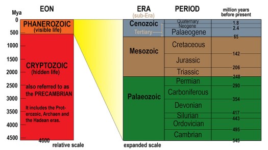 Skala waktu geologi digunakan oleh para ahli geologi dan ilmuwan untuk. Teori Awal Kehidupan Di Bumi Arkaekum Paleozoikum Mesozoikum Neozoikum Guru Geografi