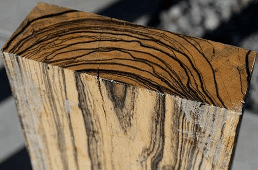 Kayu ini bahkan sering sekali diekspor keluar negeri, khususnya . 15 Jenis Kayu Yang Sering Dimanfaatkan Dalam Pembuatan Mebel Dan Furniture Nuisonk