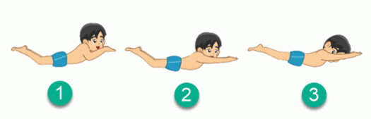 Dengan gerakan kaki yang benar, anda dapat . Teknik Dan Gerakan Renang Gaya Dada Mikirbae Com