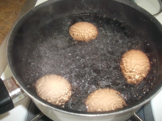 Cara memasak bahan makanan dalam bahan cair dengan api kecil yang jumlahnya tidak terlalu banyak atau hanya sebatas menutupi bahan . Teknik Mengolah Bahan Makanan Dalam Cairan Yang Sudah Mendidih Adalah Teknik