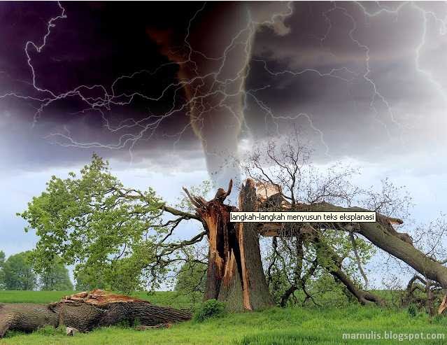 Langkah menyusun teks eksplanasi adalah sebagai berikut. Langkah Langkah Menyusun Teks Eksplanasi Marnulis
