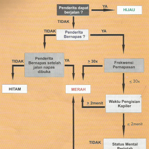 Jika ada sebarang objek asing (cth. Pertolongan Korban Banyak Triage Manajemen K3 Umum