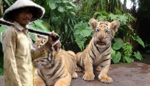 Tulislah pesan yang terdapat pada dongeng petani yang baik hati. Pembelajaran 3 Subtema 2 Manfaat Hewan Bagi Kehidupan Manusia Mikirbae Com