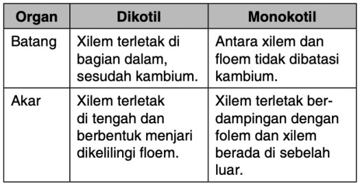 Parenkim juga terdapat di antara jaringan lain misalnya di antara xylem dan. Apakah Perbedaan Susunan Xilem Dengan Floem Pada Tumbuhan Dikotil Dan Monokotil Mas Dayat