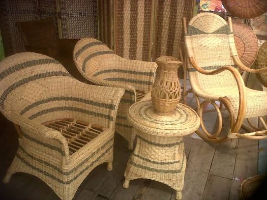 Kayu rotan banyak ditemukan pada wilayah antara lain kalimantan, sulawesi dan papua. Penghasil Dan Penyebaran Kayu Rotan Di Indonesia