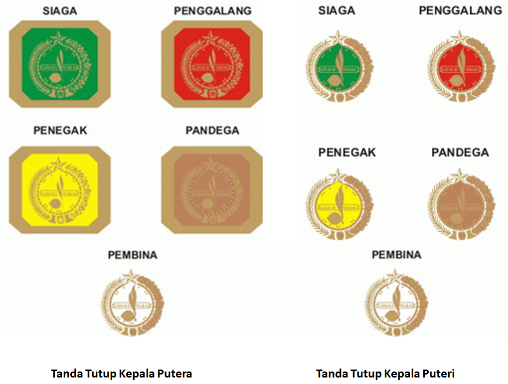 Warna dasar coklat tua dan lambang gerakan pramuka berwarna kuning emas diatasnya. Tanda Umum Gerakan Pramuka