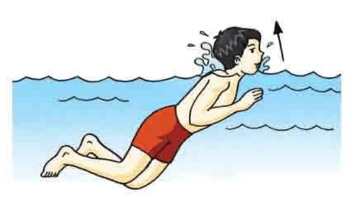 Pun bisa tenggelam apabila teknik berenang yang dilakukannya kurang tepat. Belajar Teknik Menginjak Air Water Trap Pada Olahraga Renang Reza Hafiz Pranajaya