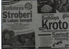 Dengan demikian, untuk merumuskan konsep menceritakan kembali diambil dari konsep bercerita. Soal 2 Bahasa Indonesia Kelas 10 Semester 2 Chorina Study Blog