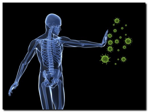 4) fokus awal dari latihan fisik adalah latihan dengan intensitas rendah yang bertujuan meningkatkan daya tahan jantung dan paru, yaitu latihan aerobik . Kebugaran Jasmani Daya Tahan Jantung Paru Dan Peredaran Darah Pandai Belajar