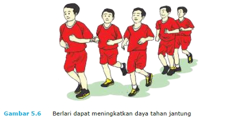 Dengan melatih kebugaran, kekuatan dan ketahanan jantung dan paru ketika anda beraktivitas akan meningkat. Materi Pjok Pelajaran V Latihan Daya Tahan Jantung Untuk Pengembangan Kebugaran Jasmani