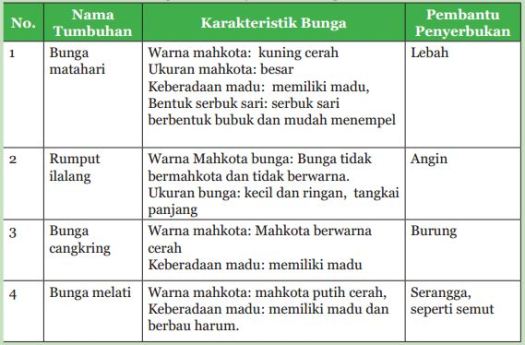Pada umunya penyerbukan silang terjadi akibat adanya bantuan dari angin dan serangga yang dengan tidak sengaja membantu proses penyerbukan pada bunga. Kunci Jawaban Menginvestigasi Cara Penyerbukan Bunga Rofa Education Centre