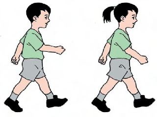 Berlari, melompat, meloncat dan melempar adalah gerakan yang sering dilakukan dalam dasar olahraga …. Olahraga Anak Gerak Dasar Jalan Lari Loncat Lompat Memutar Mengayun Menekuk Melempar Menagkap Kelas 1 Sem 2