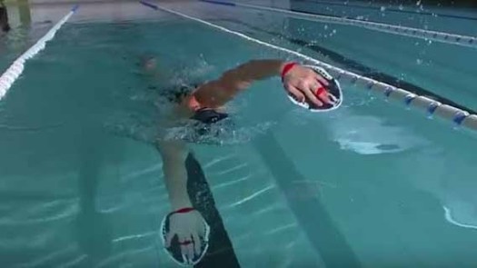 Teknik ayunan kaki yang dipakai dalam gaya bebas, sumbu gerakannya terdapat pada. Teknik Ayunan Tangan Kaki Pernapasan Dan Koordinasi Renang Gaya Bebas