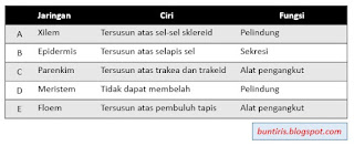 Kemampuan produksi dan kualitas hasil tanaman sangat ditentukan oleh faktor. Soal Dan Pembahasan Un Tentang Jaringan Hewan Dan Tumbuhan Bsb