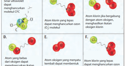 Dalam sistem kerja penggunaannya,kulkas dan ac mengandung gas. Dampak penggunaan Pendingin seperti AC dan Lemari Es