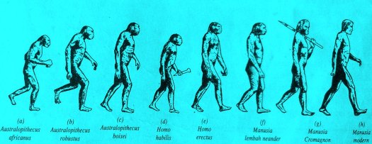 Berkembang di wilayah ini terhitung sejak awal permulaan sejarah asia. Manusia Purba Persebaran Jenis Fosil Sejarah Kehidupan Dan Ciri Ciri