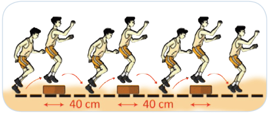 Dalam bentuk latihan sirkuit dan. Latihan Kebugaran Jasmani Dilengkapi Dengan Gambar Maolioka