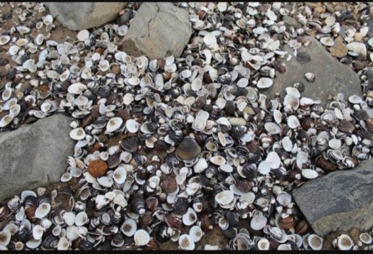 Posting pada sejarah ditag 4 kepercayaan pada masa neolitikum, alat alat obsidian zaman neolitikum, alat berburu pada zaman megalitikum, apa yang dimaksud dengan zaman logam, bagaimana karakteristik kebudayaan pada zaman neolitikum, barter diperkirakan telah dikenal pada masa, batu api pada zaman, benda peninggalan masa megalitikum, cara hidup zaman … KEHIDUPAN MANUSIA PRAAKSARA DI INDONESIA - Dunia Sejarah