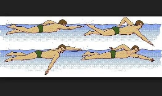 Dalam renang gaya punggung, gerakan kaki dan lengan sama dengan gaya bebas, tetapi dengan posisi tubuh telentang di permukaan air. Sejarah Renang Gaya Bebas Beserta Teknik Renang Gaya Bebas Dan Kesalahan Kesalahan Pada Renang Gaya Bebas Ilmuips My Id Materi Belajar Gratis