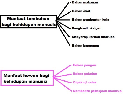 Berikut beberapa manfaat dari sumber daya alam hewan. Kunci Jawaban Tematik Kelas 4 Tema 6 Subtema 2 Halaman 75 77 78 80 81 82 83 Gawe Kami