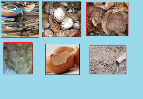 Pengolahan limbah organik basah bisa dilakukan dengan cara . Pengolahan Limbah Organik Basah Dan Kering Menjadi Kerajinan Awalilmu Com